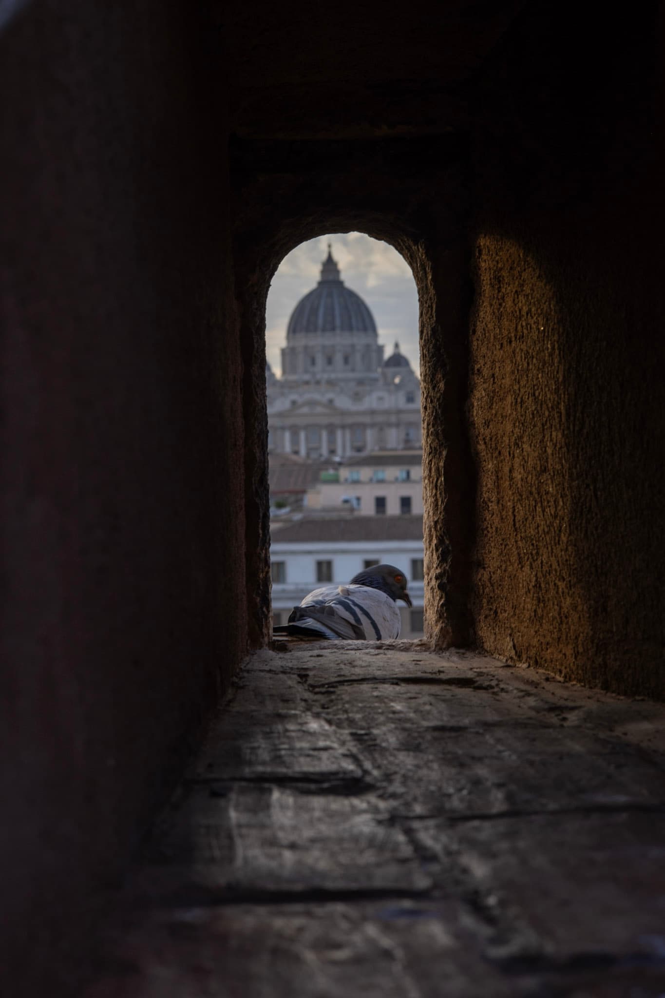 Photograph by Amin Hamidi