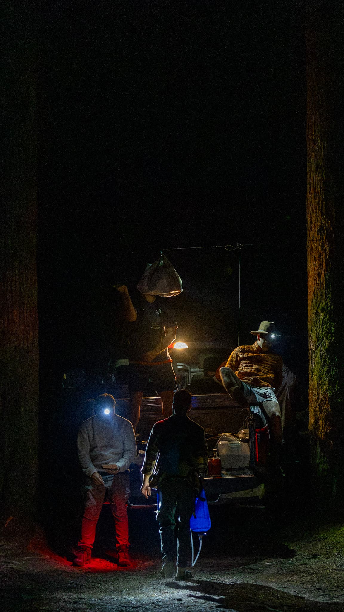 Photograph by Amin Hamidi