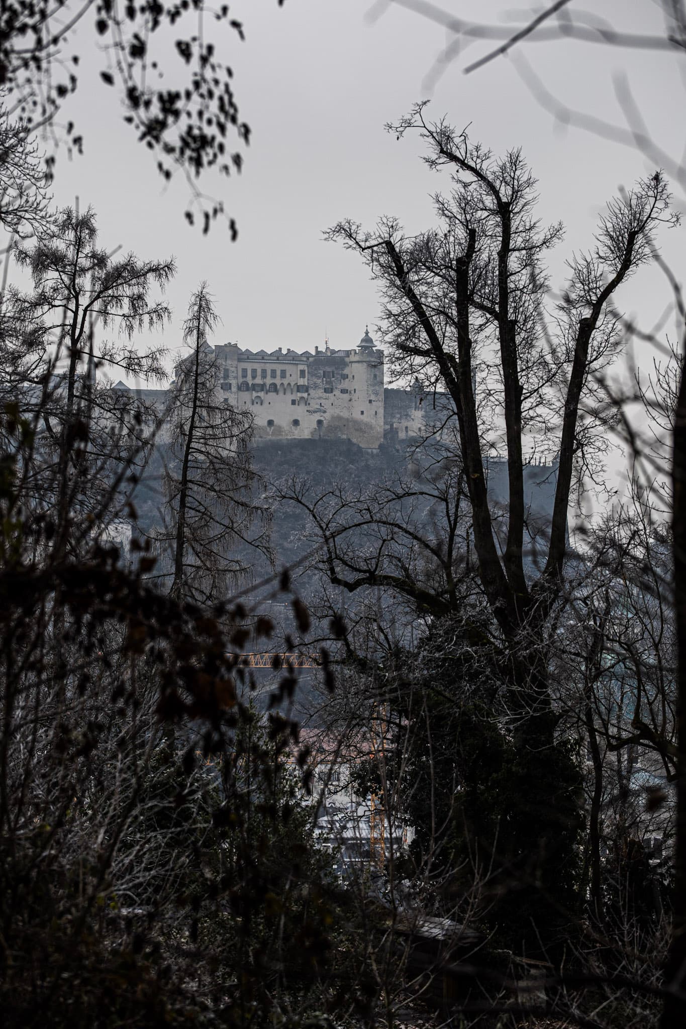 Photograph by Amin Hamidi
