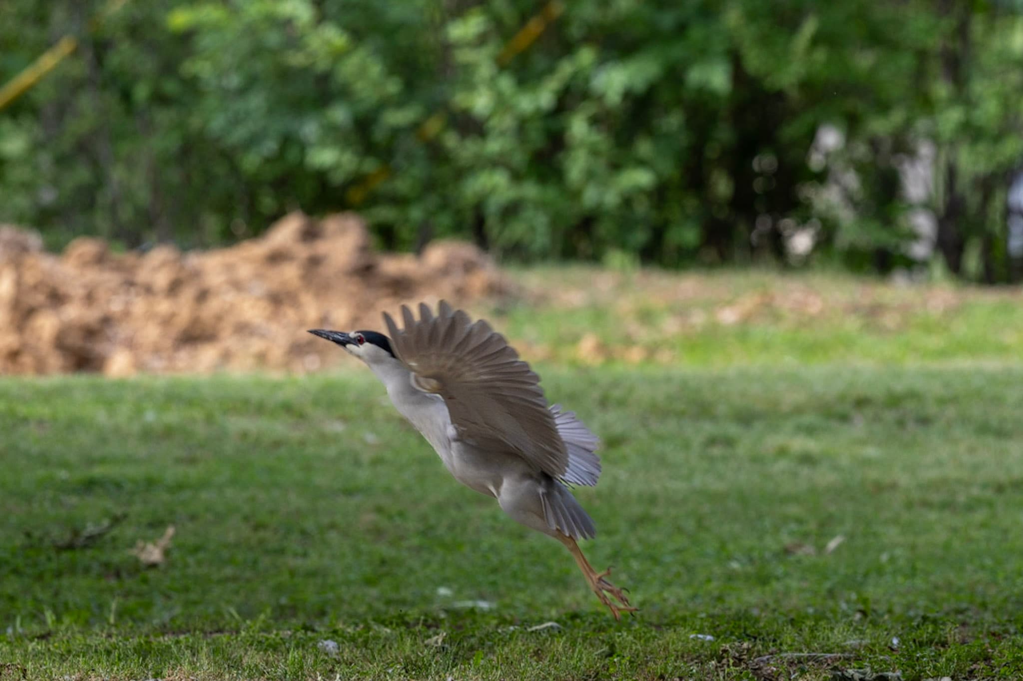 Photograph by Amin Hamidi