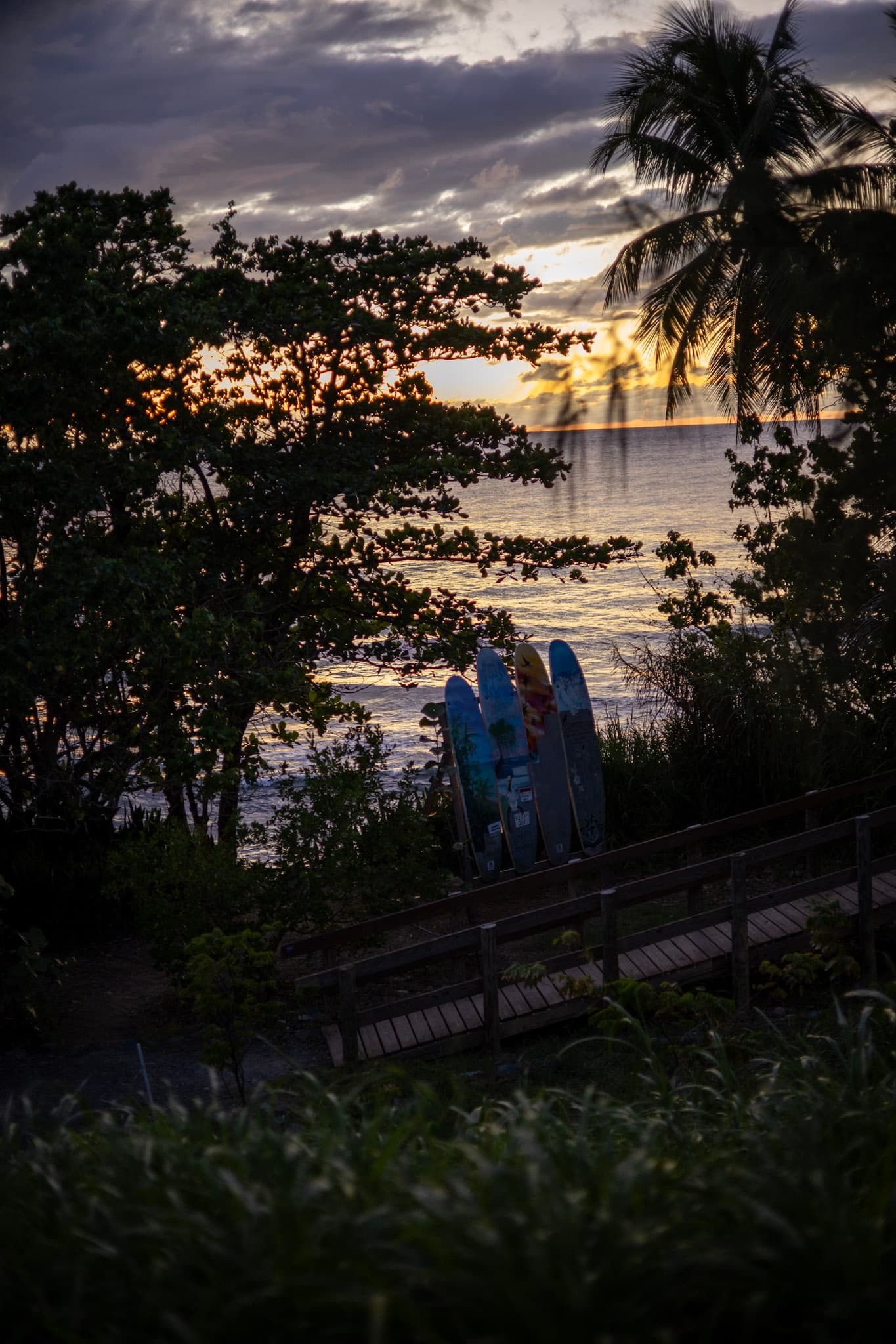 Photograph by Amin Hamidi