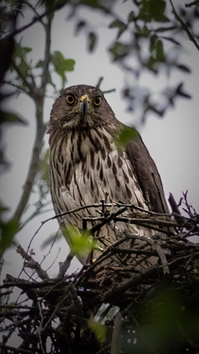 Photograph by Amin Hamidi