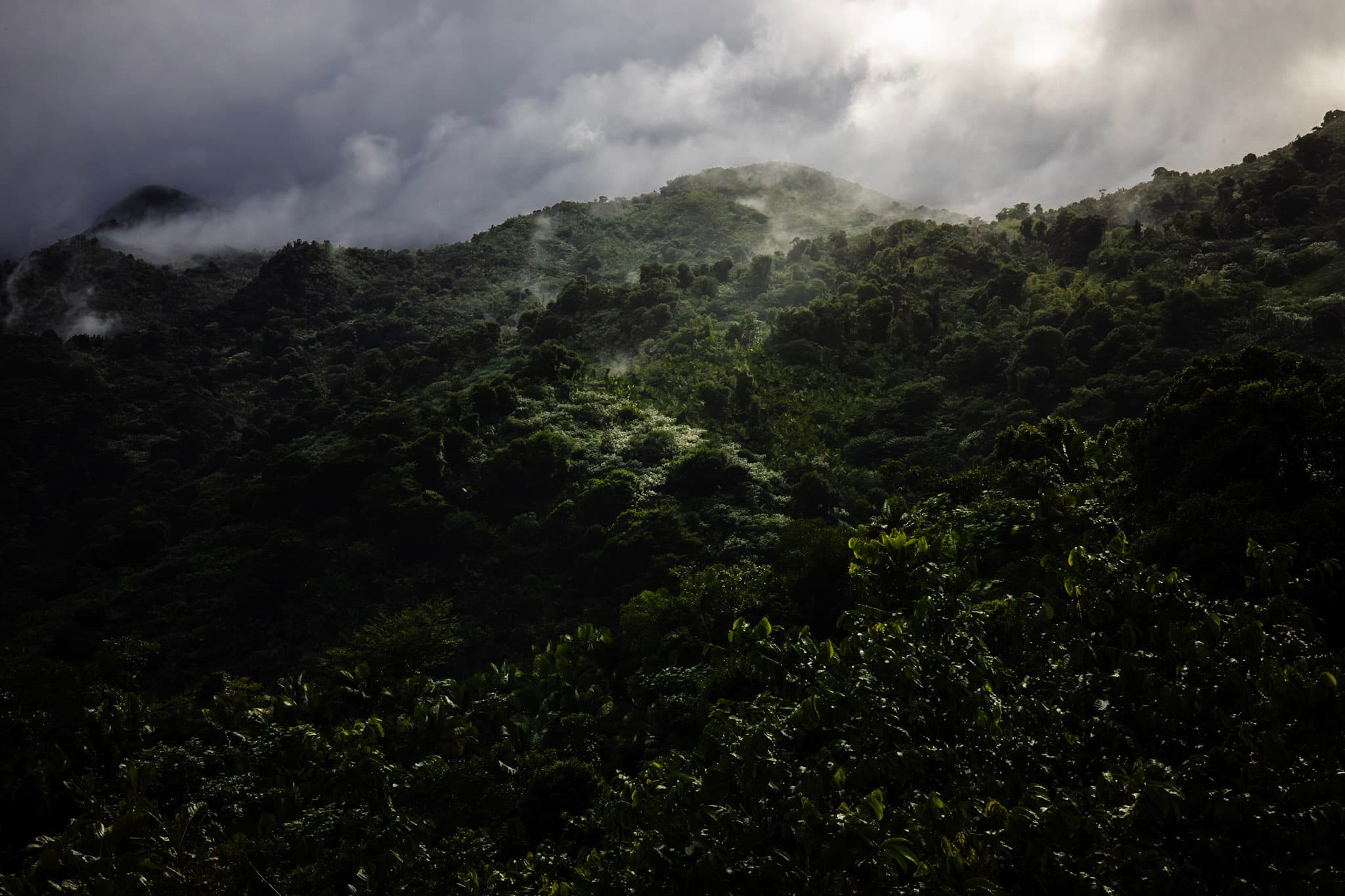 Photograph by Amin Hamidi