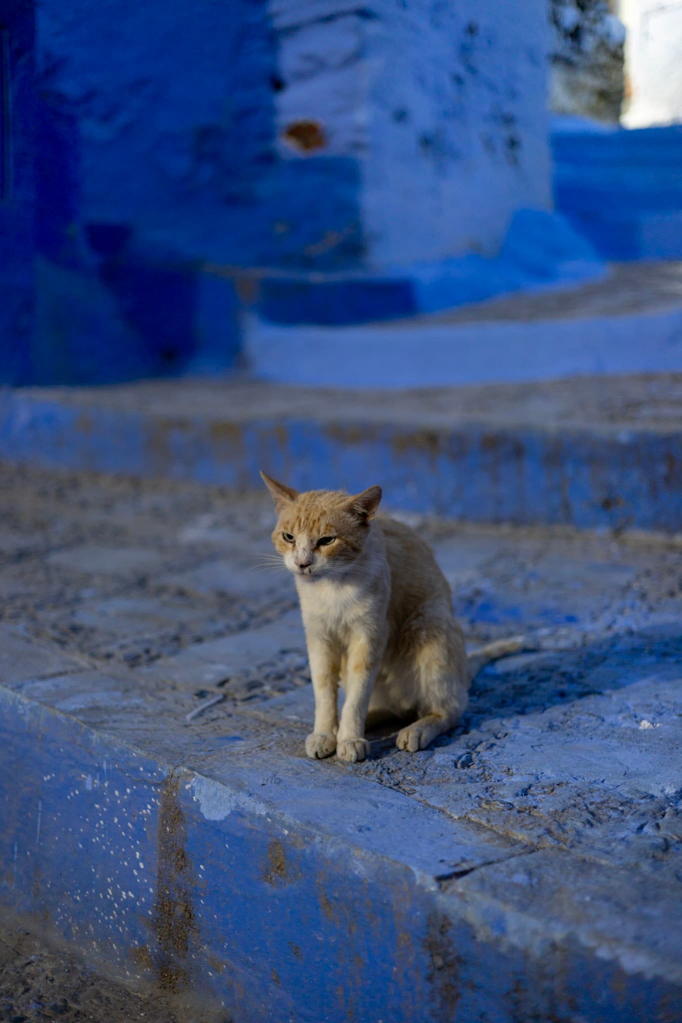 Photograph by Amin Hamidi